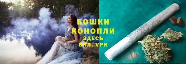 твердый Горнозаводск