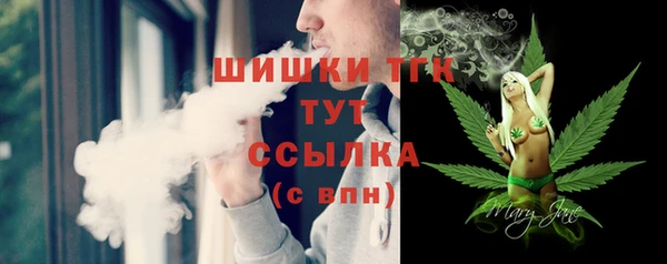 твердый Горнозаводск