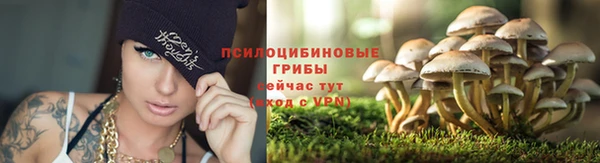 твердый Гусев