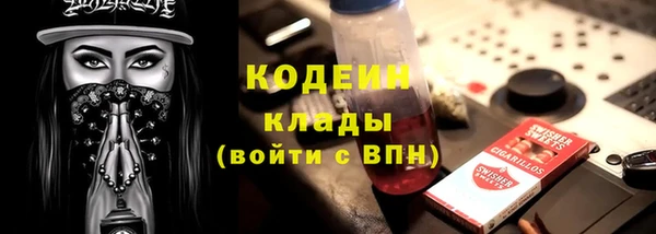 ГАЛЛЮЦИНОГЕННЫЕ ГРИБЫ Горняк