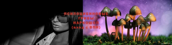 ГАЛЛЮЦИНОГЕННЫЕ ГРИБЫ Горняк