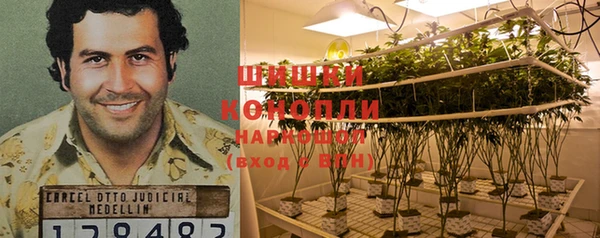 ПСИЛОЦИБИНОВЫЕ ГРИБЫ Семилуки