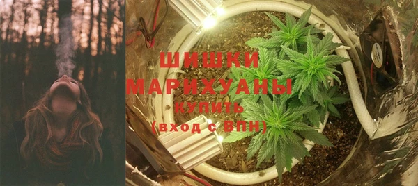 ГАЛЛЮЦИНОГЕННЫЕ ГРИБЫ Горняк