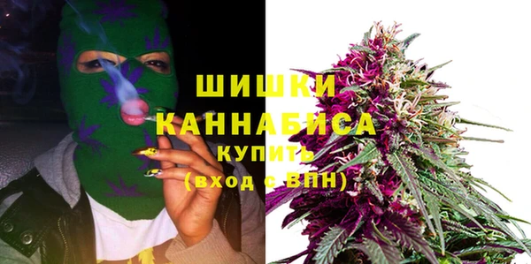 ГАЛЛЮЦИНОГЕННЫЕ ГРИБЫ Горняк