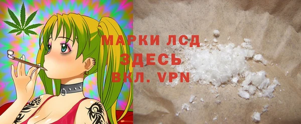 твердый Гусев