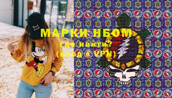 ГАЛЛЮЦИНОГЕННЫЕ ГРИБЫ Горняк